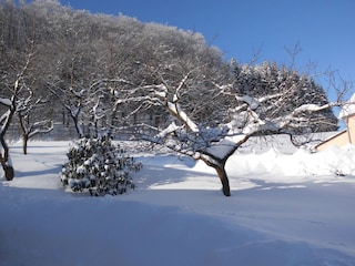 Einfach Winter