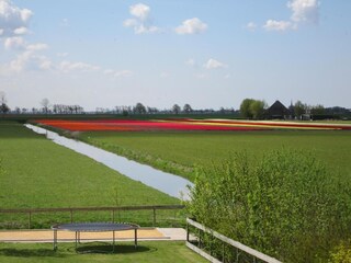 Vakantiehuis Berkhout Omgeving 27