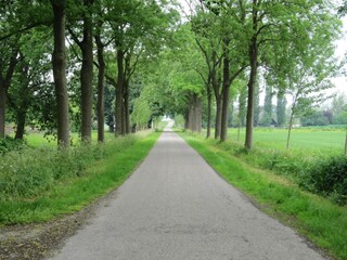 Ferienhaus Berkhout Umgebung 28