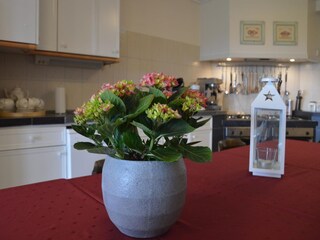 Maison de vacances Berkhout  38