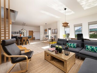 Villa Rasopasno Características 11