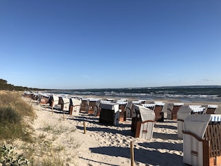 Strandkorb am Strand inklusive