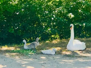 Appartamento Arpaillargues-et-Aureillac Ambiente 29