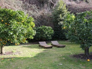 Appartement Castiglione in Teverina Enregistrement extérieur 11