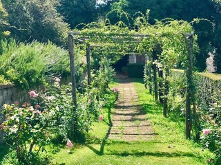 Apartamento Castiglione in Teverina Grabación al aire libre 13