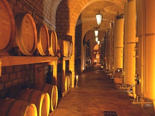 Apartment Castiglione in Teverina  39