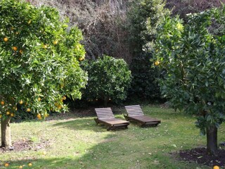 Appartement Castiglione in Teverina Buitenaudio-opname 5