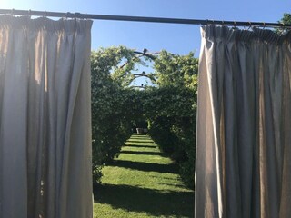 Apartment Castiglione in Teverina Außenaufnahme 7