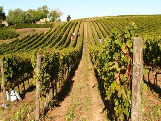 Appartement Castiglione in Teverina Enregistrement extérieur 8