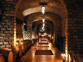 Apartment Castiglione in Teverina  40