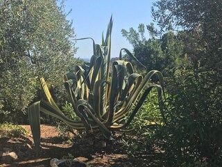 Villa Porto Ercole Buitenaudio-opname 11