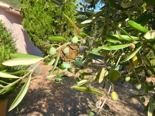 Villa Porto Ercole  35