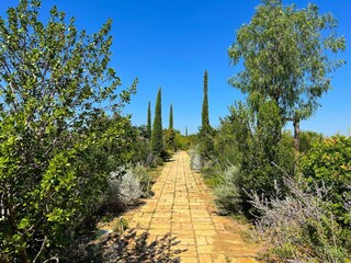 Villa Magliano in Toscana Environment 43