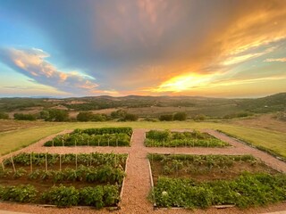 Villa Magliano in Toscana Environment 48