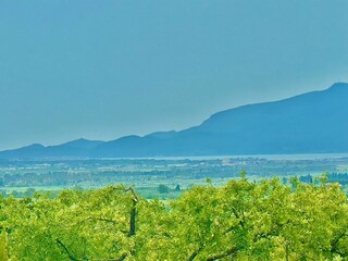 Villa Magliano in Toscana Environment 46