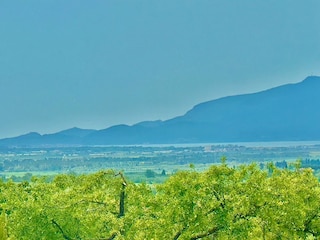 Villa Magliano in Toscana Environnement 46