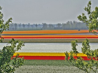 Casa de vacaciones Egmond aan Zee  20