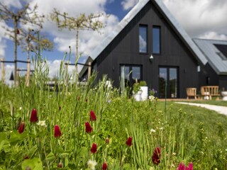 Vakantiepark Sint Nicolaasga Buitenaudio-opname 6