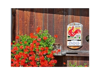 3 Blumen Urlaub am Bauernhof