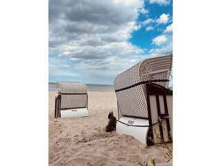 Hunde sind herzlich willkommen