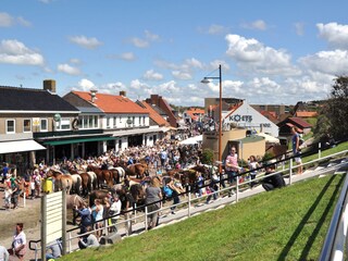 Bungalow Zoutelande Ambiente 14