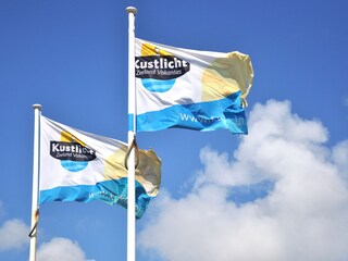 Bungalow Zoutelande Environment 9