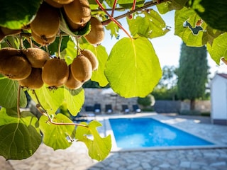 Ferienhaus Režanci Außenaufnahme 18