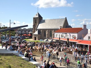 Appartamento per vacanze Zoutelande Ambiente 11