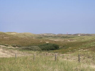 Maison de vacances Callantsoog Environnement 18