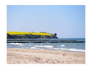 Ostseebad Boltenhagen - Blick auf die Steilküste vom OT Redewisch