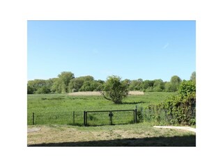 Weiße Villen Whg. 03 - Blick von der Terrasse auf die Haffwiesen