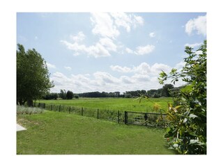 Weiße Villen Whg. 03 - Blick von der Terrasse auf die Haffwiesen