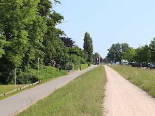 Deichblick
