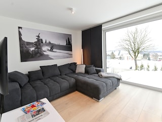 living area with sofa bed