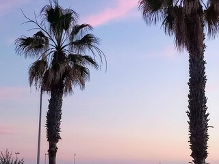 Appartamento El Médano Ambiente 27