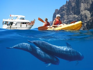 Apartment El Médano Umgebung 33