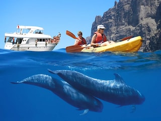 Apartment El Médano Umgebung 26