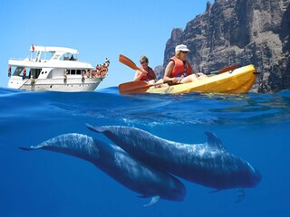 Appartement El Médano Environnement 28