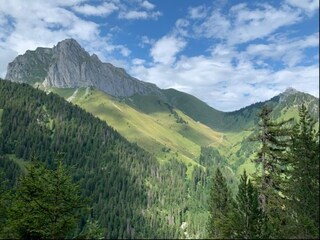 Apartamento La Chapelle-d'Abondance Entorno 21