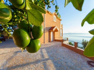 Apartment Podgora Außenaufnahme 3