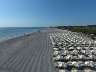 Rulot Ravenna (Stadt) Entorno 15