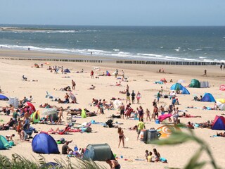 Vakantieappartement Nieuwvliet Omgeving 16