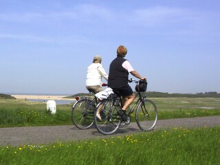 Vakantieappartement Nieuwvliet Omgeving 20