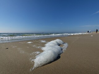 Vakantiepark Sint Maartenszee Omgeving 11