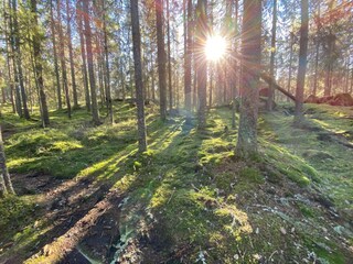 Ferienhaus Gönäs  15