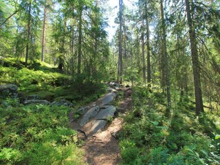 Ferienhaus Gönäs  20