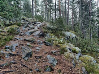 Ferienhaus Gönäs  18