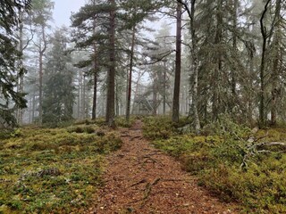 Vakantiehuis Gönäs  10