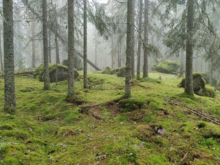 Ferienhaus Gönäs  21