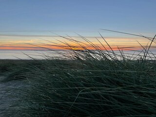 Holiday park Sint Maartenszee Environment 11